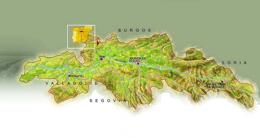 Mapa vinos Ribera del Duero